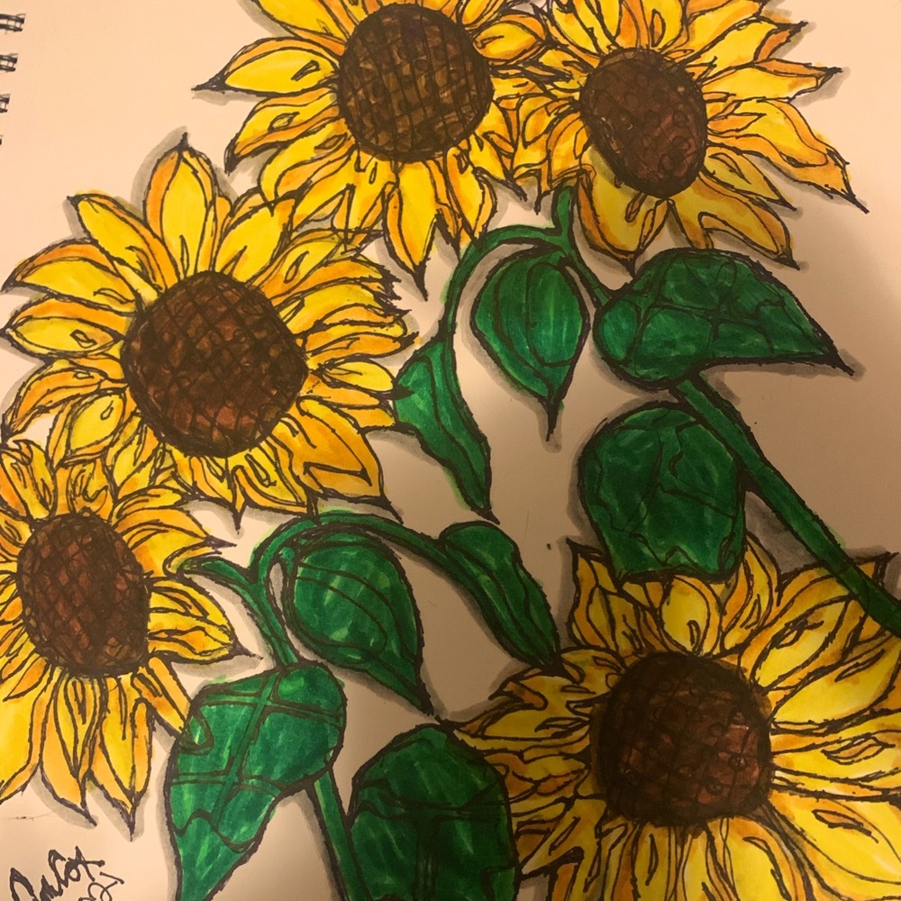 3-D sunflower ink sketch